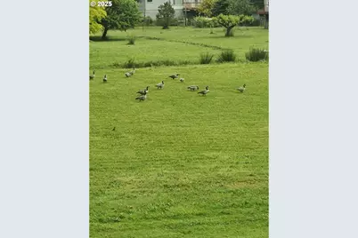 34376 State Highway 38, Scottsburg, OR 97473 - Photo 12