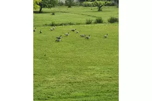 34376 State Hwy 38, Scottsburg, OR 97473 - Photo 12