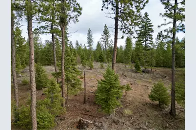 Ranger Road #2, Goldendale, WA 98620 - Photo 22