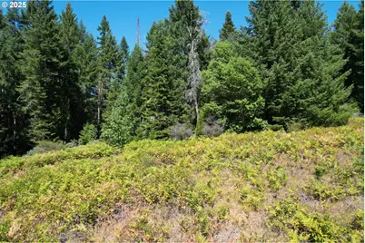 750 Ferguson Ln, Days Creek, OR 97429 - Photo 40