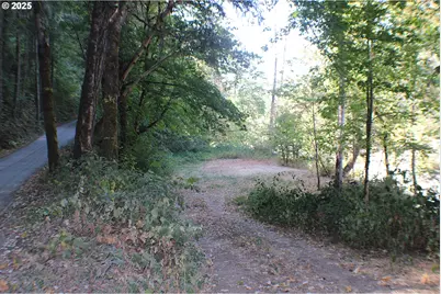 750 Ferguson Ln, Days Creek, OR 97429 - Photo 4