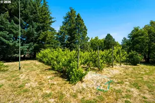 1109 Country Club Rd, Hood River, OR 97031 - Photo 34