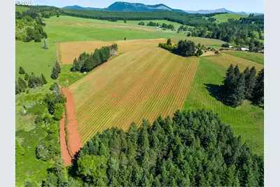 1488 Red Hill Rd, Oakland, OR 97462 - Photo 46
