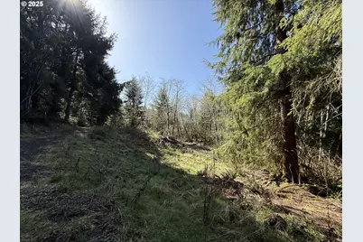 Fiddle Back Lot 8, North Bend, OR 97459 - Photo 10