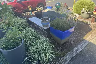 15765 Hwy 101S, Brookings, OR 97415 - Photo 2