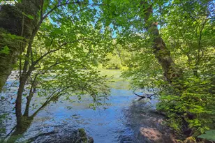 58025 Drury Ln, Blue River, OR 97413 - Photo 44