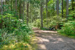 58025 Drury Ln, Blue River, OR 97413 - Photo 4
