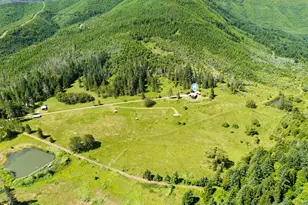 736 Ferguson Ln, Days Creek, OR 97429 - Photo 40