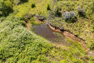 736 Ferguson Ln, Days Creek, OR 97429 - Photo 44