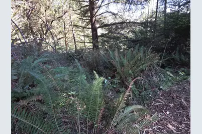 Hammond Ln #9, Gold Beach, OR 97444 - Photo 26