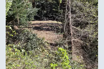Hammond Ln #9, Gold Beach, OR 97444 - Photo 18