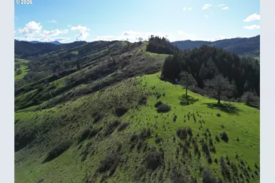 221 Foster Ln, Roseburg, OR 97470 - Photo 36