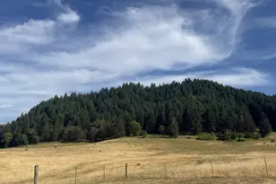221 Foster Ln, Roseburg, OR 97470 - Photo 42