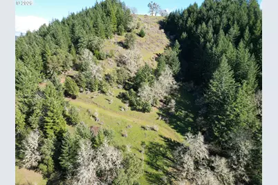 221 Foster Ln, Roseburg, OR 97470 - Photo 38