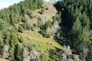 221 Foster Ln, Roseburg, OR 97470 - Photo 38
