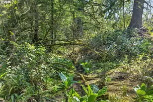 38225 Hiagua Ln N, Nehalem, OR 97131 - Photo 24