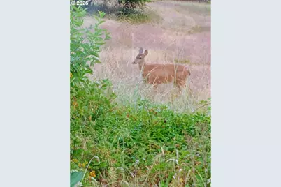 826 SW Cherry St, Willamina, OR 97396 - Photo 24