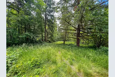 0 Parcel 257387000, La Center, WA 98629 - Photo 8