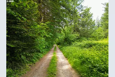 0 Parcel 257387000, La Center, WA 98629 - Photo 12