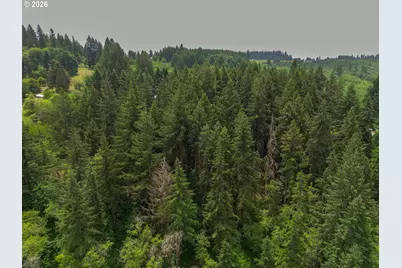 0 Parcel 257387000, La Center, WA 98629 - Photo 22