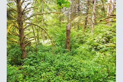 0 Parcel 257387000, La Center, WA 98629 - Photo 10