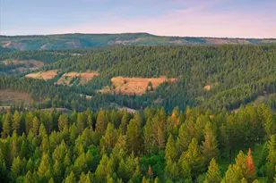 76545 Palmer Junction Rd, Elgin, OR 97827 - Photo 14