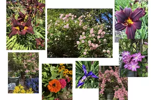 9685 SW Riverwood Ln, Tigard, OR 97224 - Photo 30