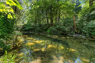 10024 Hubbard Creek Rd, Umpqua, OR 97486 - Photo 42