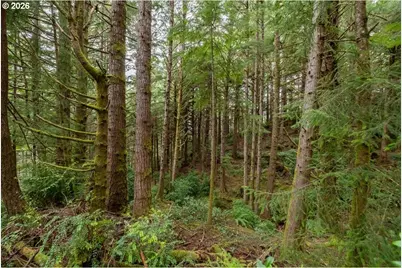 Lot 2800, Waldport, OR 97394 - Photo 4