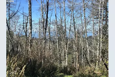 96475 Cape Ferrelo Rd, Brookings, OR 97415 - Photo 18
