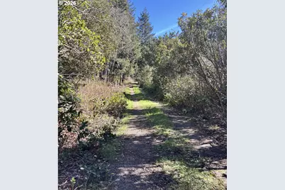 96475 Cape Ferrelo Rd, Brookings, OR 97415 - Photo 4