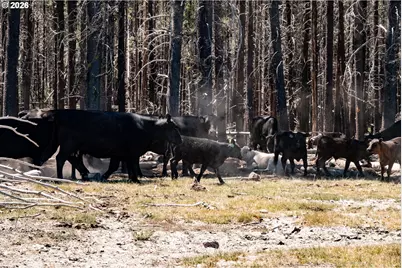 1950 Silver Lake Rd, Chiloquin, OR 97624 - Photo 18