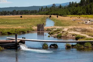 1950 Silver Lake Rd, Chiloquin, OR 97624 - Photo 4
