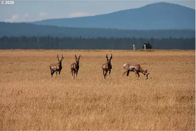 1950 Silver Lake Rd, Chiloquin, OR 97624 - Photo 32