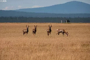1950 Silver Lake Rd, Chiloquin, OR 97624 - Photo 32