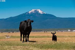 1950 Silver Lake Rd, Chiloquin, OR 97624 - Photo 2