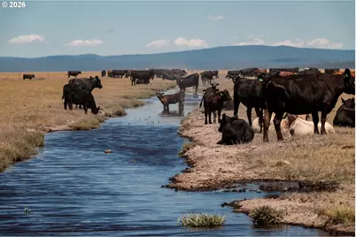 1950 Silver Lake Rd, Chiloquin, OR 97624 - Photo 8