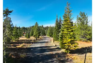 267 Usfs 86 Rd, Trout Lake, WA 98650 - Photo 30