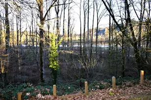 16368 SE 135th Ave, Clackamas, OR 97015 - Photo 34