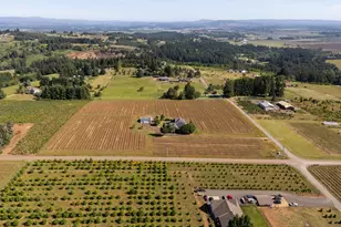 20700 SE Cherry Blossom Ln, Amity, OR 97101 - Photo 46