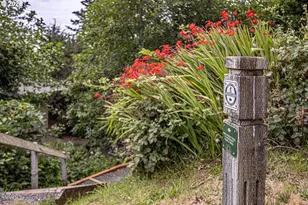 355 Horizon Hill Rd, Yachats, OR 97498 - Photo 48