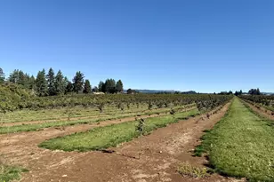 41404 Kingston Jordan Rd SE, Stayton, OR 97383 - Photo 12