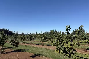 41404 Kingston Jordan Rd SE, Stayton, OR 97383 - Photo 8