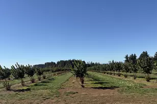 41404 Kingston Jordan Rd SE, Stayton, OR 97383 - Photo 16