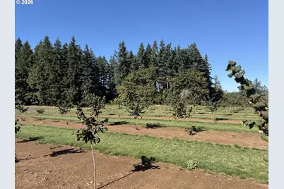 41404 Kingston Jordan Rd SE, Stayton, OR 97383 - Photo 10