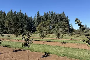 41404 Kingston Jordan Rd SE, Stayton, OR 97383 - Photo 10