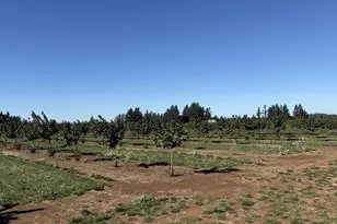 41404 Kingston Jordan Rd SE, Stayton, OR 97383 - Photo 6