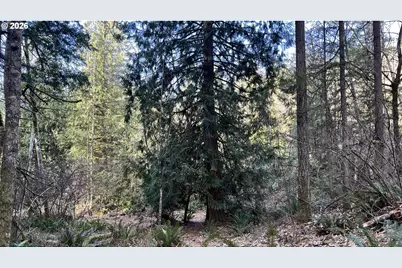 000 NE Schauer Dr, Battle Ground, WA 98604 - Photo 14