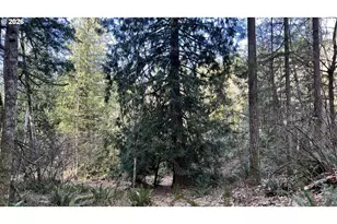 000 NE Schauer Dr, Battle Ground, WA 98604 - Photo 14