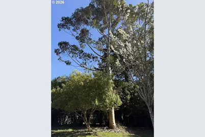 1300 Hampton Rd, Brookings, OR 97415 - Photo 24